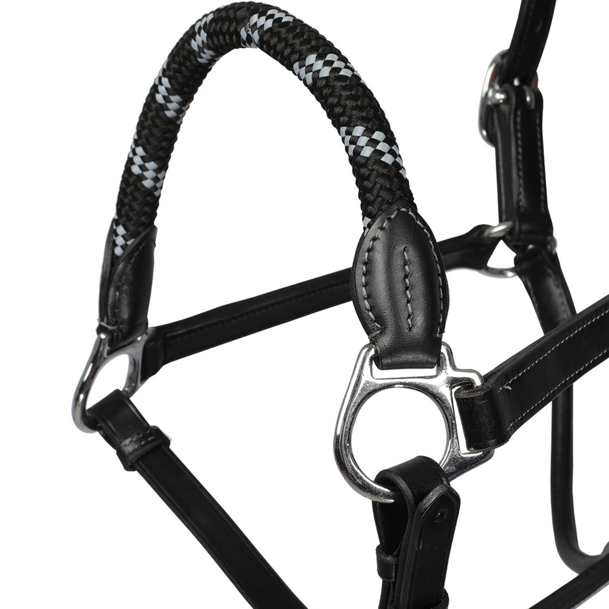 product/a/c/acavallo_ac9707-black_black_2.jpg