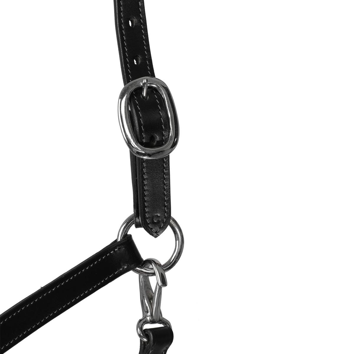 product/a/c/acavallo_ac9707-black_black_3.jpg