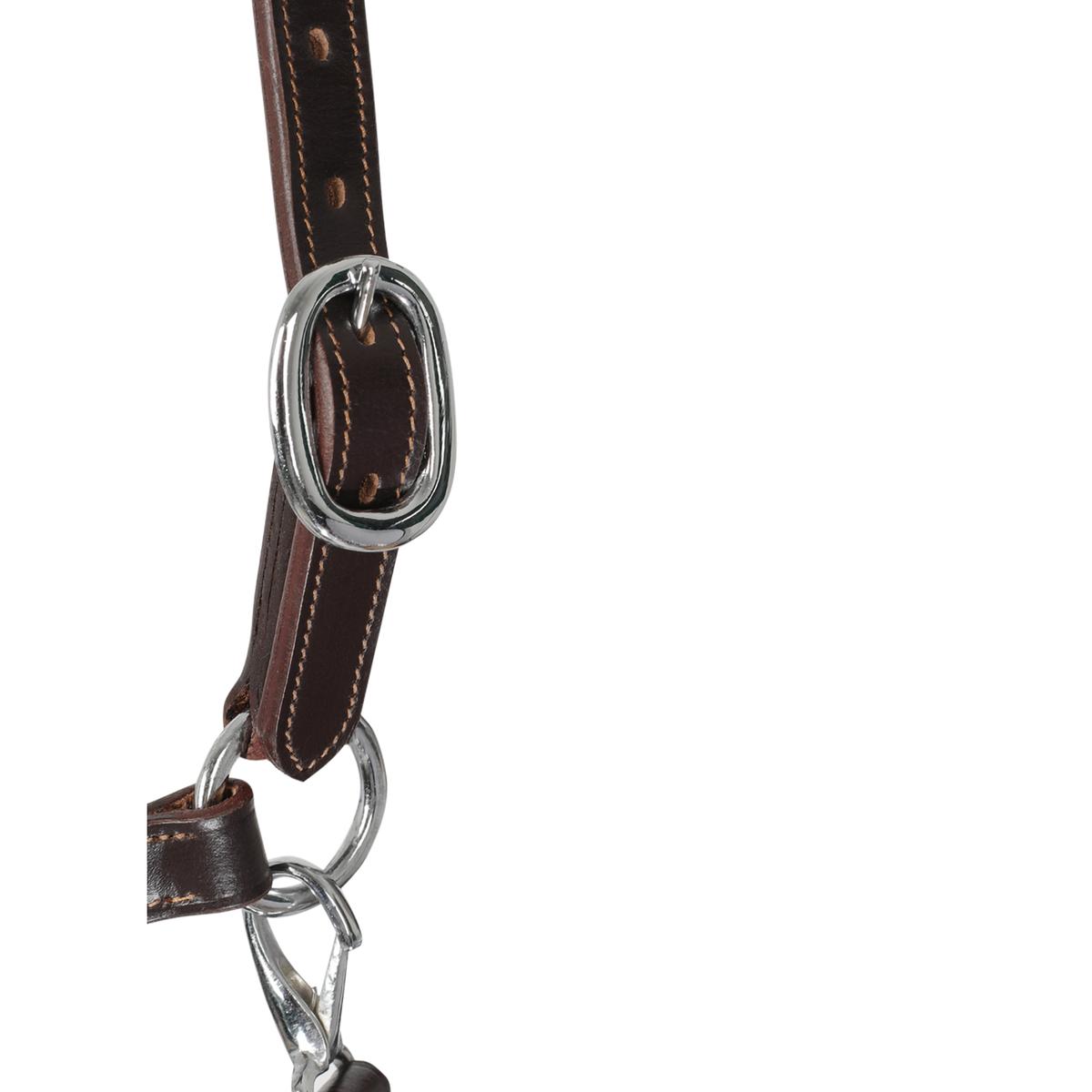 product/a/c/acavallo_ac9707-darkbrown_darkbrown_3.jpg