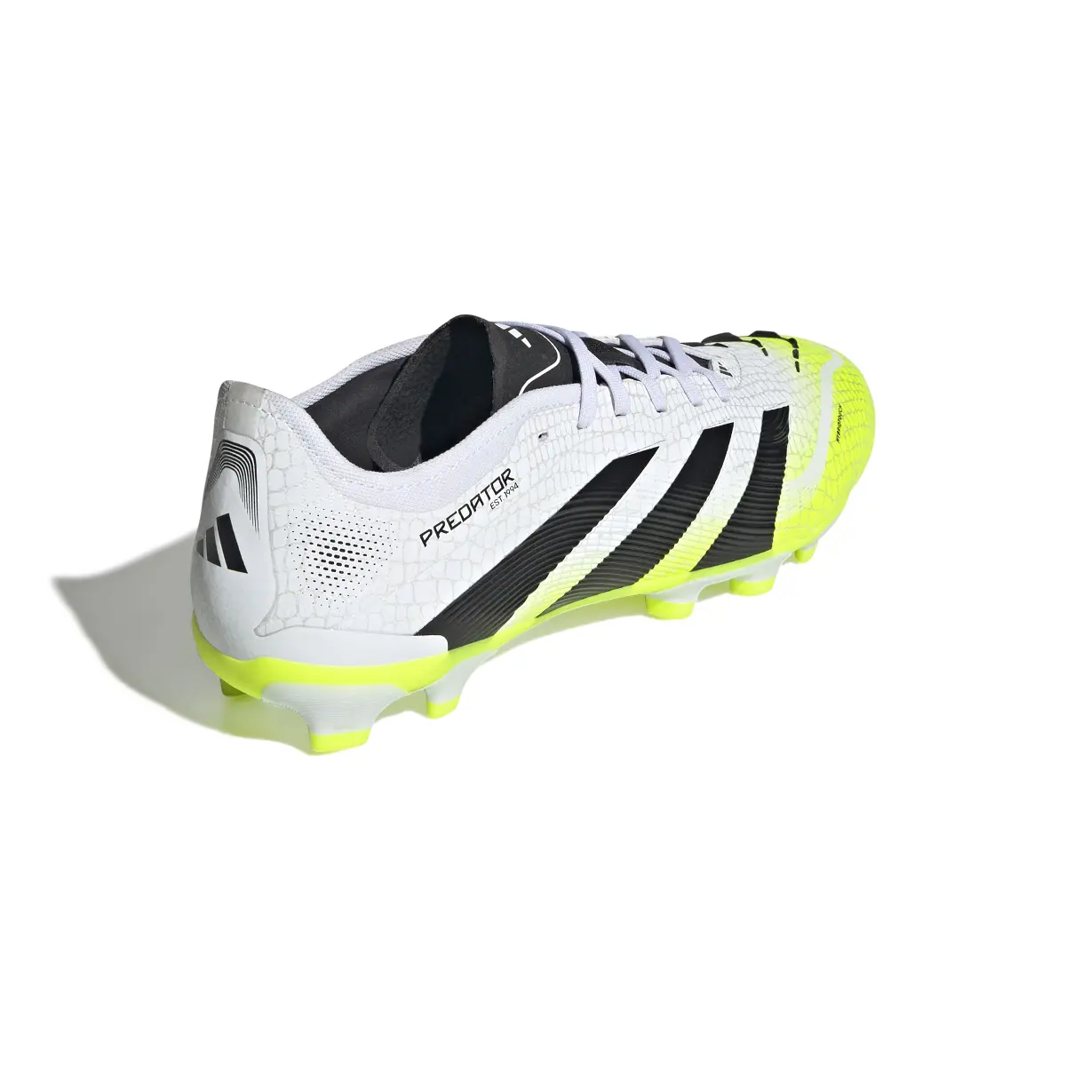 product/a/d/adidas_ji1186_6_footwear_photography_back_lateral_top_view_white.jpg