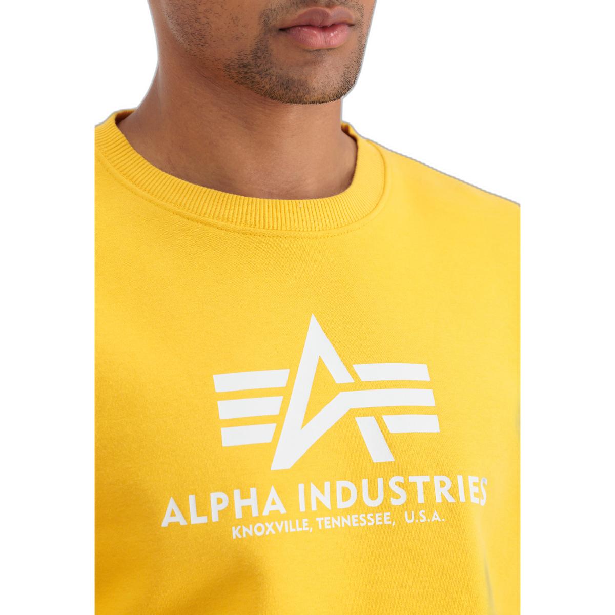 product/a/l/alpha-industries_100501-670-alpha-industries-basic-t-004.jpg