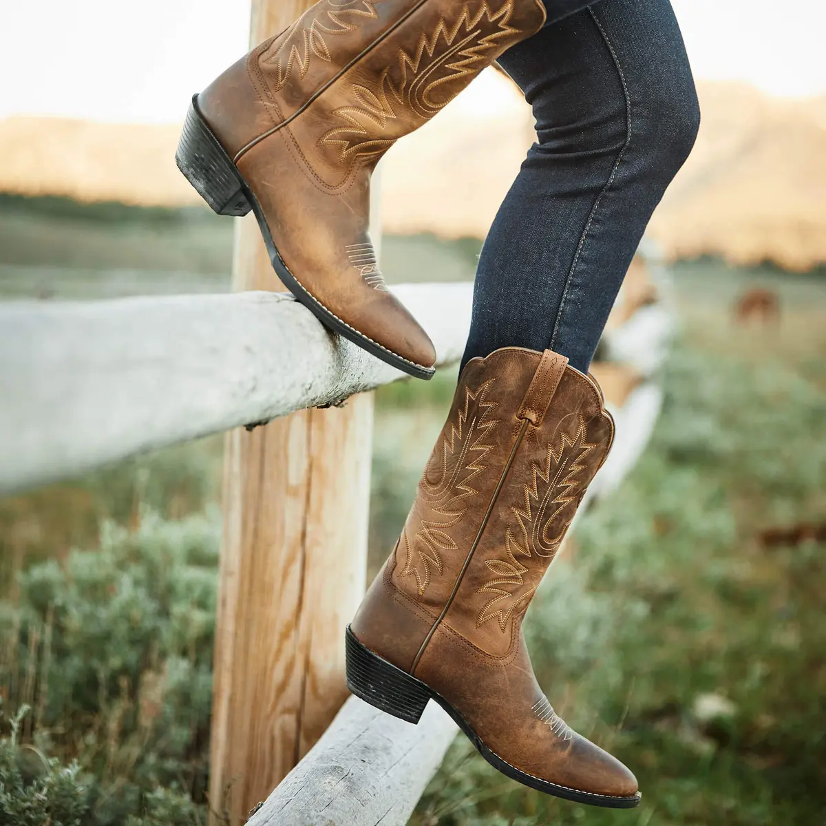 product/a/r/ariat_10001021_6.jpg