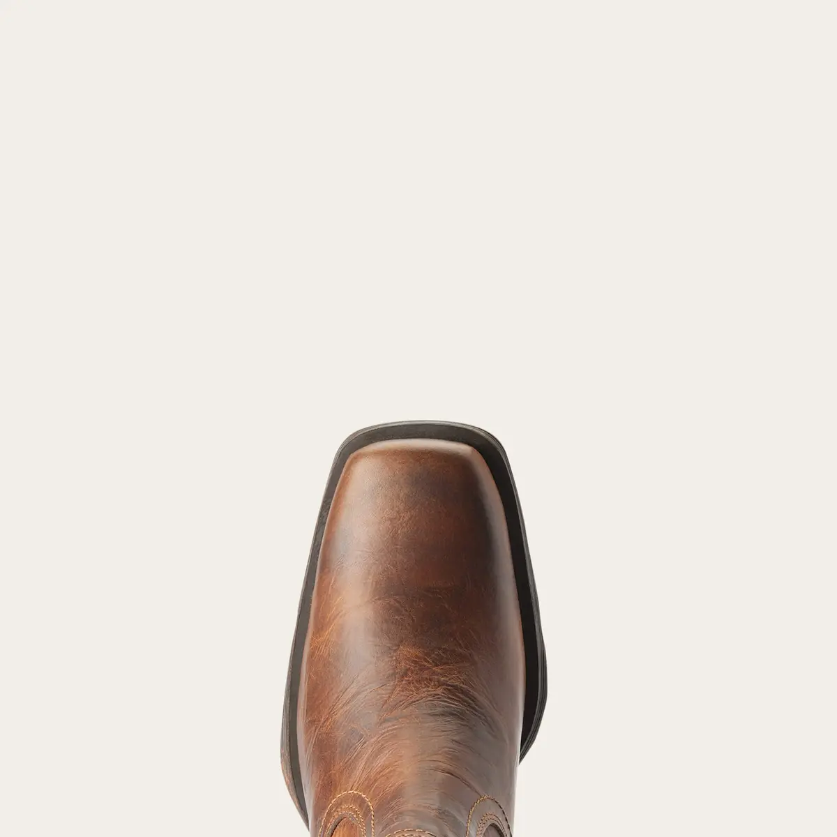 product/a/r/ariat_10019868_2.jpg