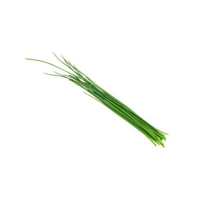 product/b/i/bioponis_bio30113g_marron_2.jpg