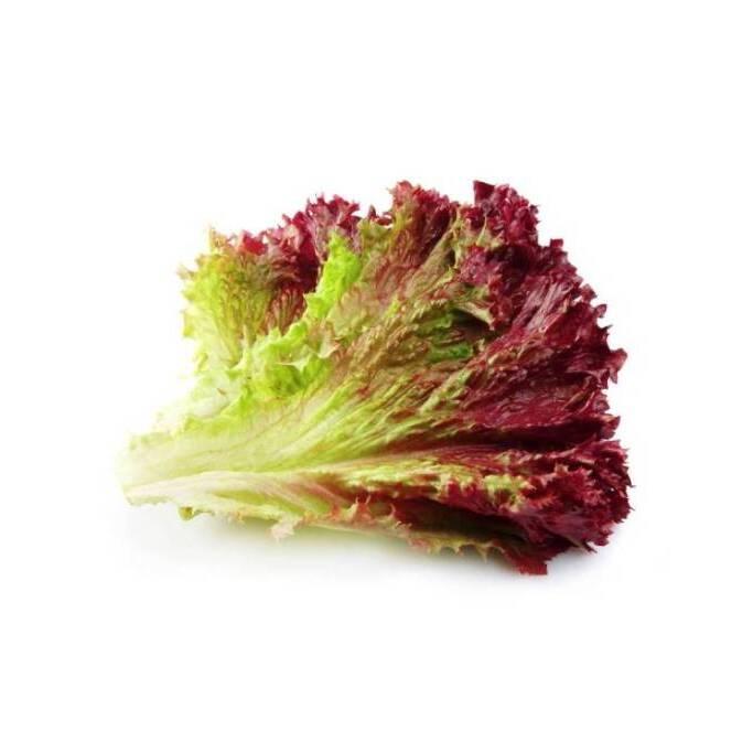 product/b/i/bioponis_bio30144g_vert-rouge_2.jpg