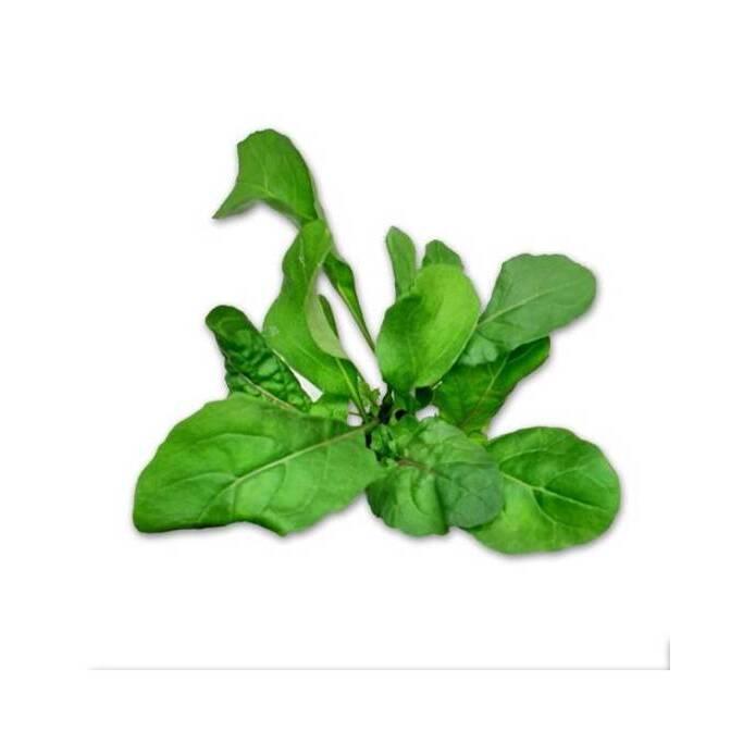 product/b/i/bioponis_bio30158g_vert_2.jpg