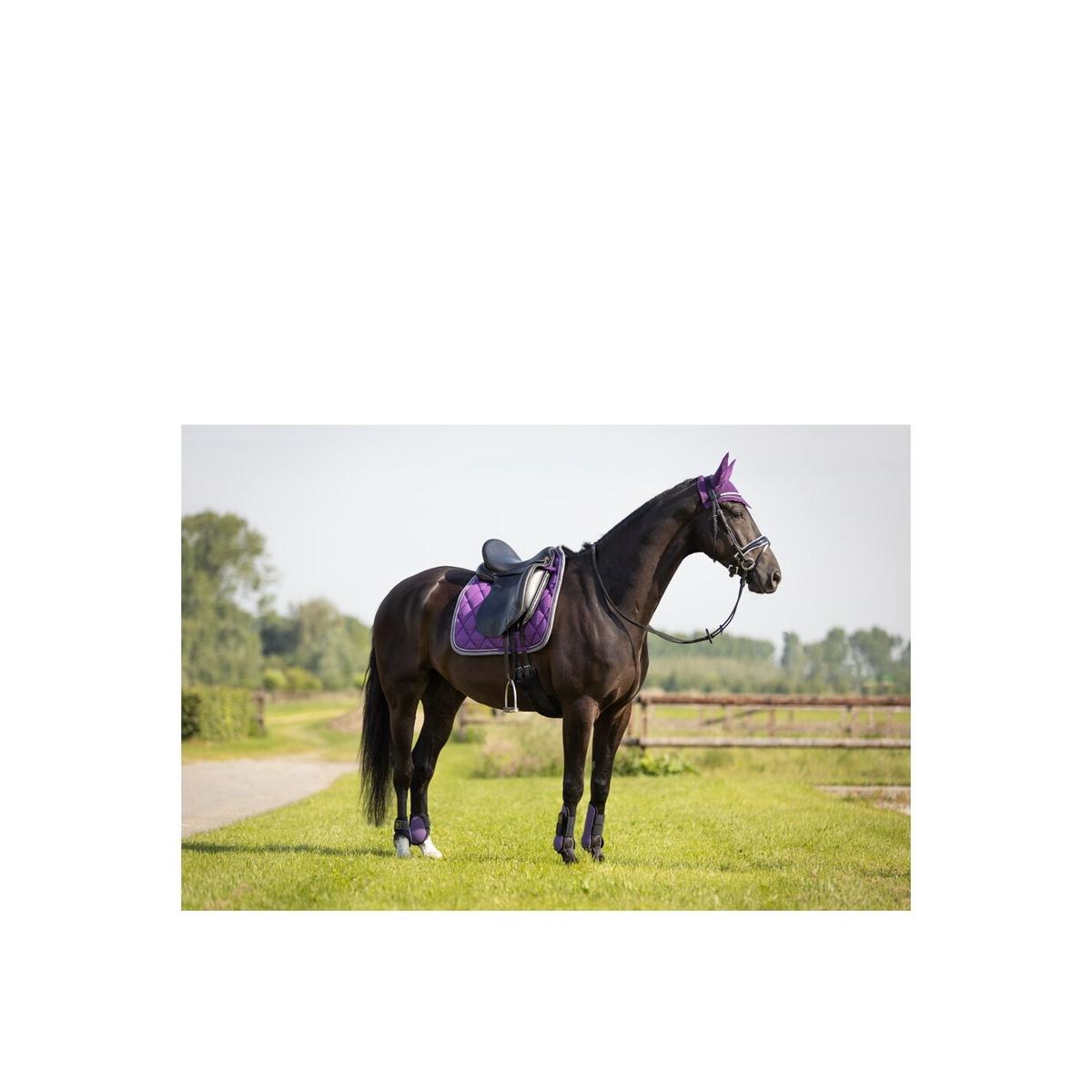 product/b/r/br-equitation_163018-p082-850_grape-royal-violet_3.jpg