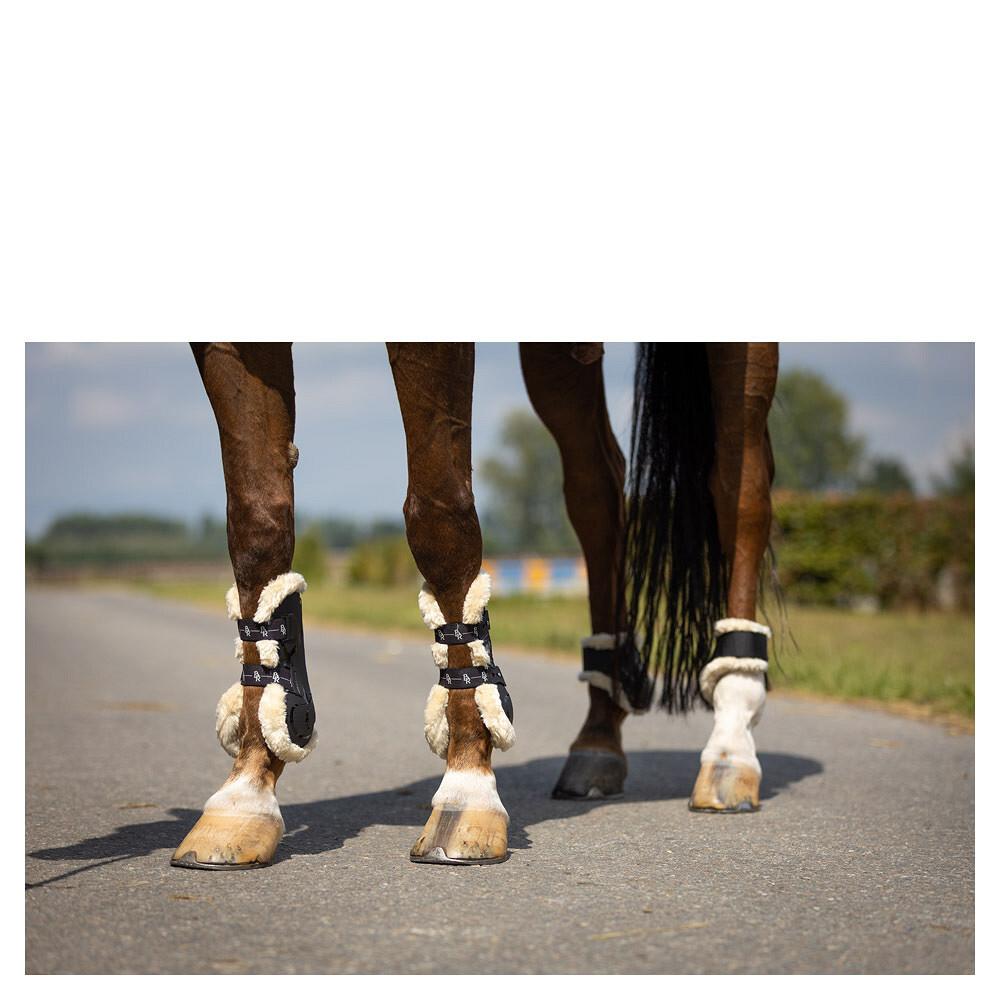 product/b/r/br-equitation_296135-n0019-60_brun_2.jpg