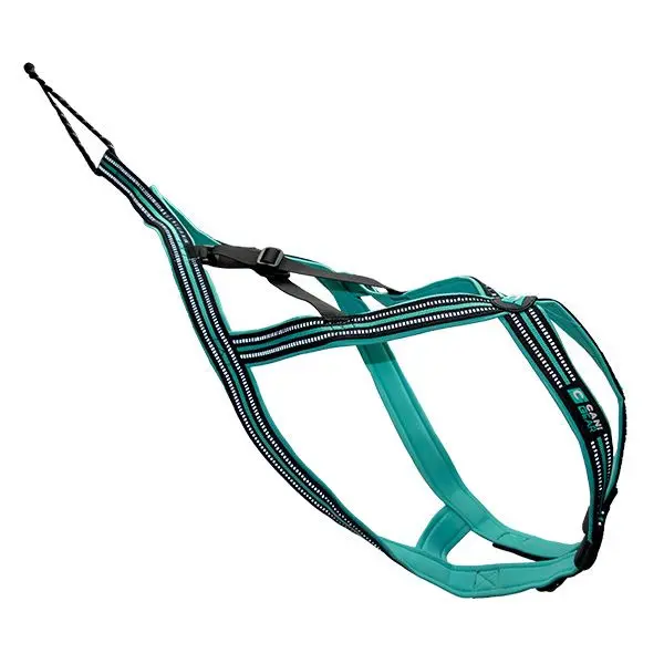 product/c/a/cani-gear_cy6038_noir-turquoise_1.jpg