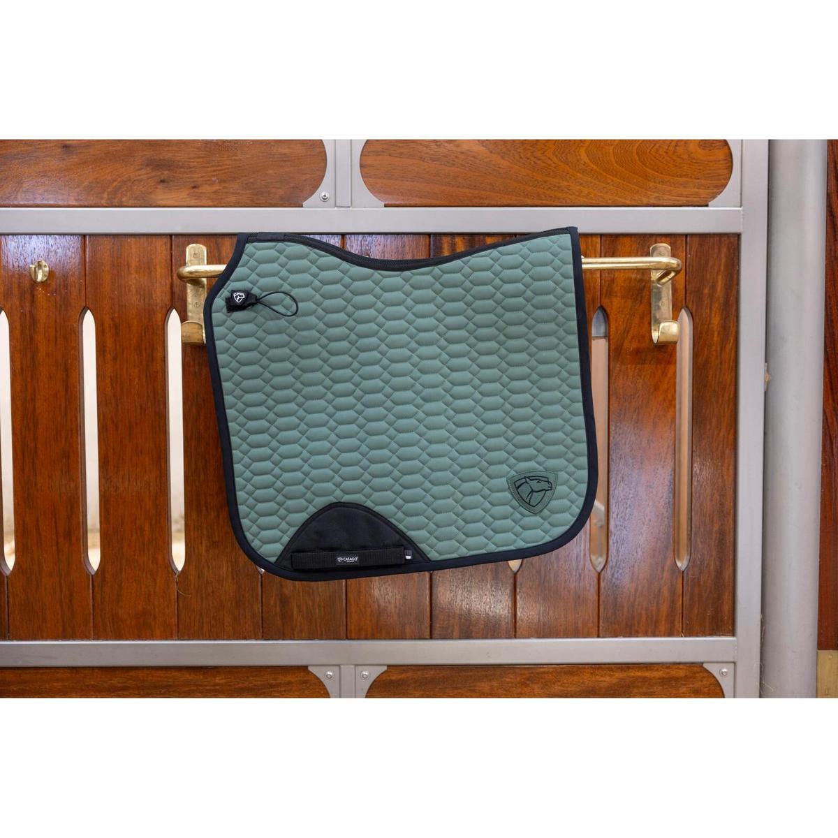 product/c/a/catago-30009060118-duck-green-2.jpg