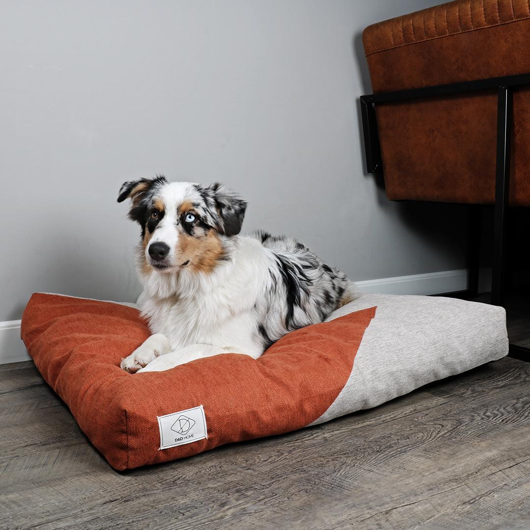 product/d/-/d-d-home_671_467794_beige-orange_2.jpg