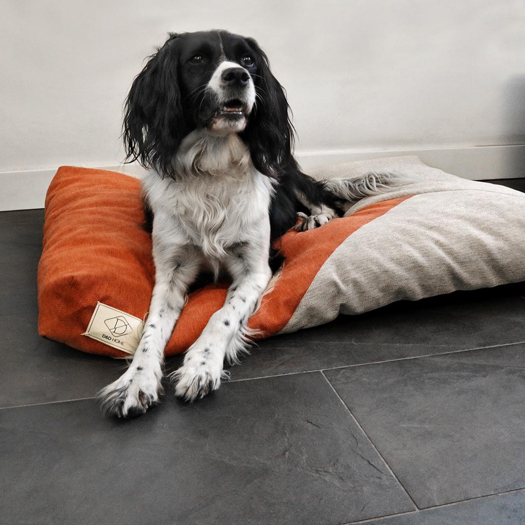 product/d/-/d-d-home_671_467794_beige-orange_3.jpg