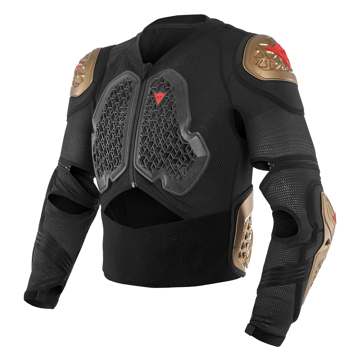 product/d/a/dainese_44103-l-109_gold-black_1.jpg