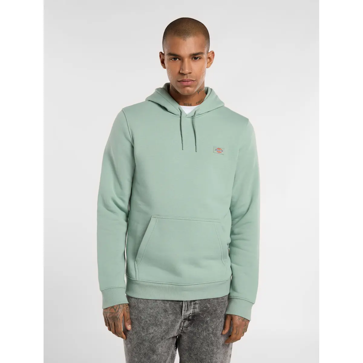 product/d/i/dickies_dk0a4xcdk361_iceberg-green_3.jpg