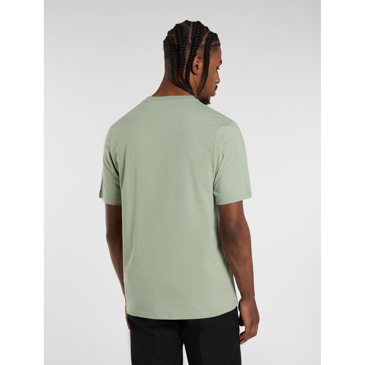 product/d/i/dickies_dk0a4xdbk361_iceberg-green_2.jpg