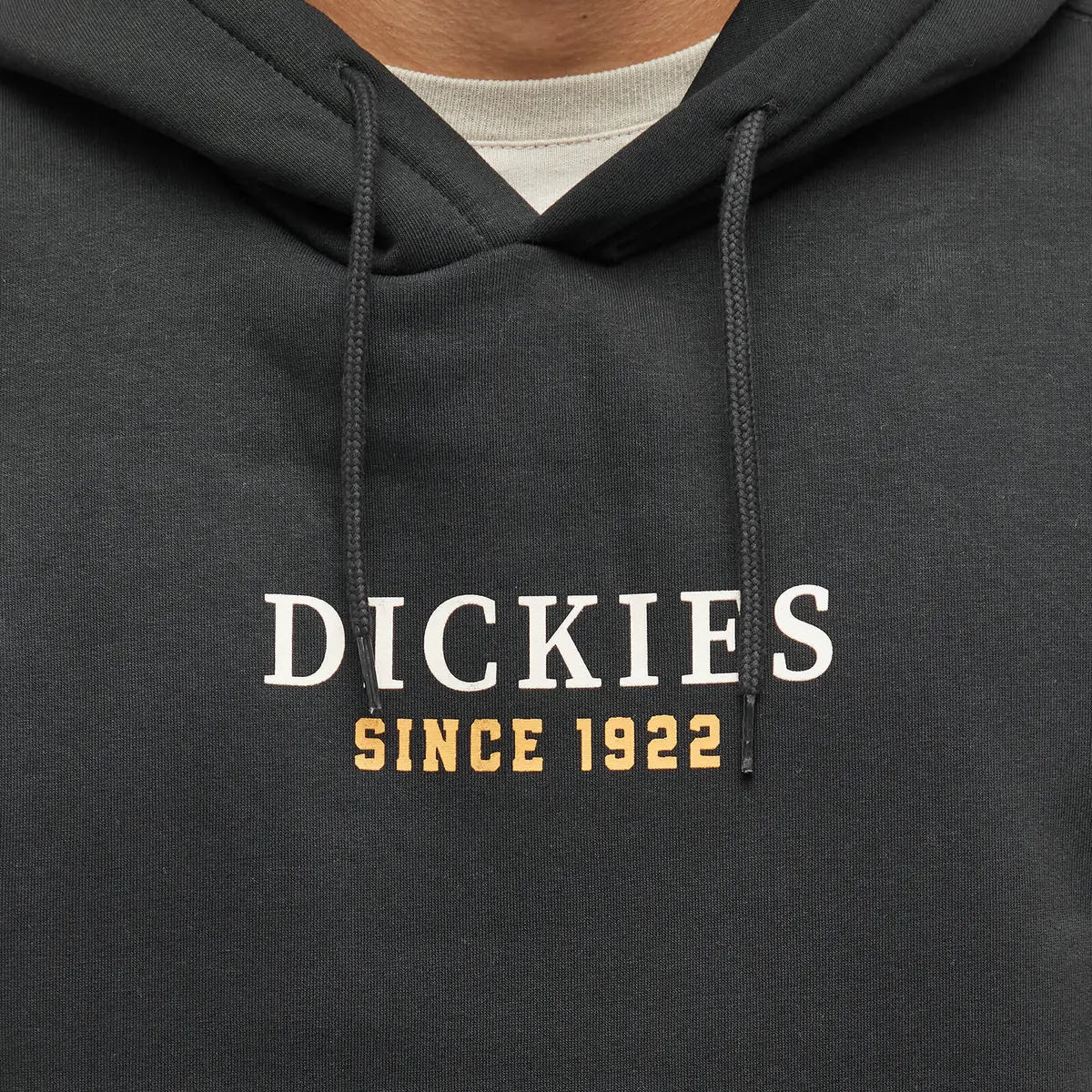 product/d/i/dickies_dk0a4yehblk1_5.jpg