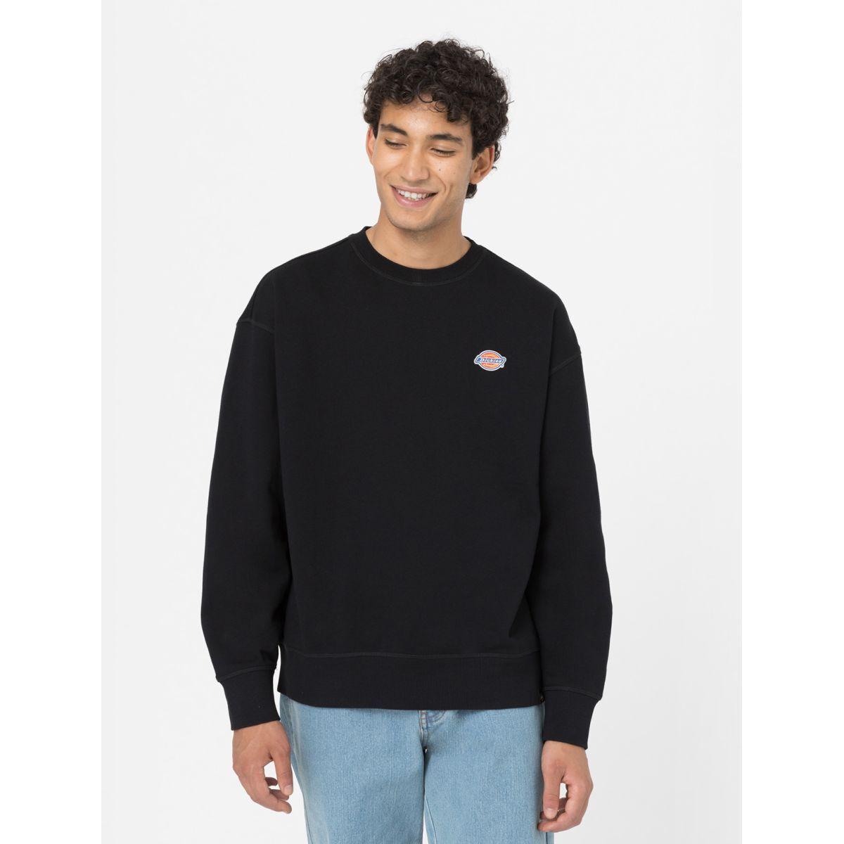product/d/i/dickies_dk0a4ylzblk1_2.jpg