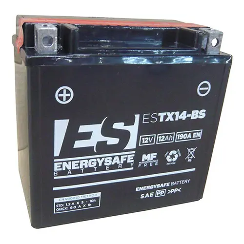product/e/n/energy-safe_e481427.jpg
