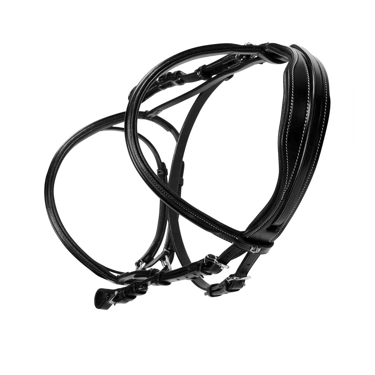 product/e/q/equestro_et01000-black_black_3.jpg