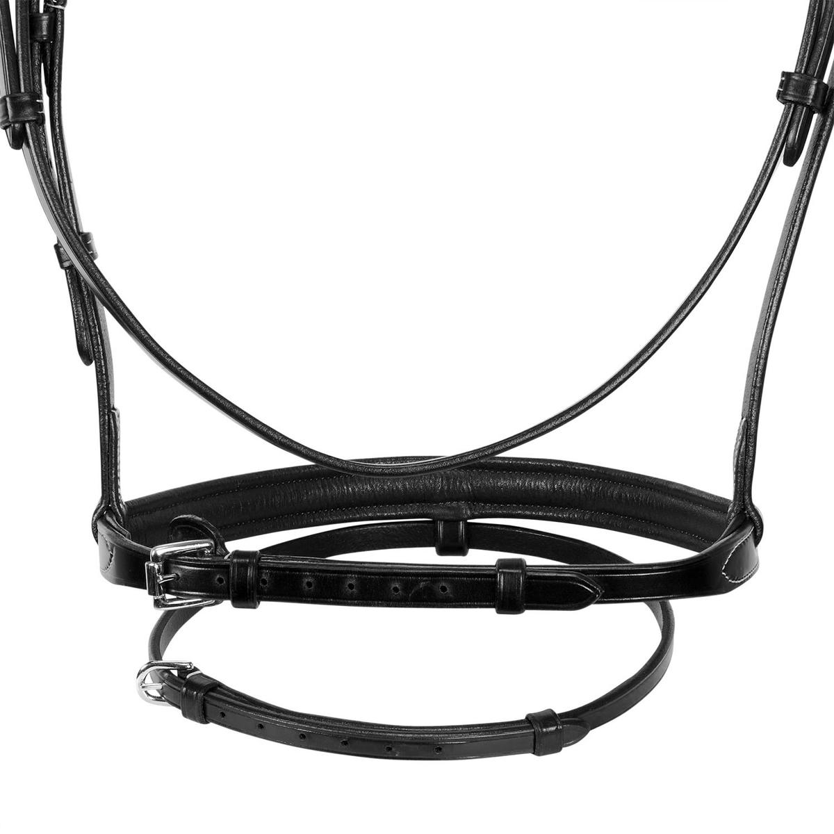 product/e/q/equestro_et01000-black_black_7.jpg