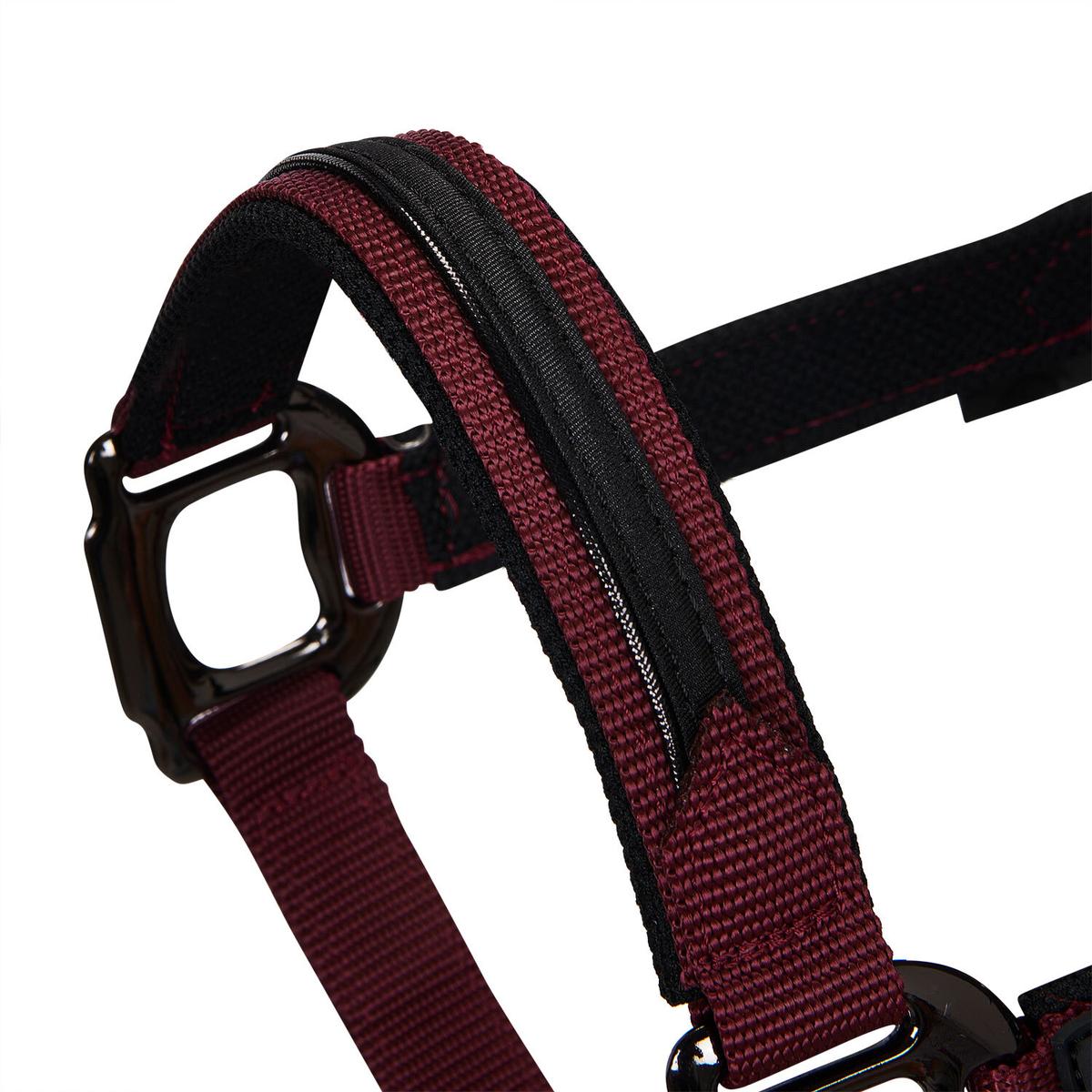 product/e/q/equestro_et08600-burgundy_et08600-burgundy_3.jpg