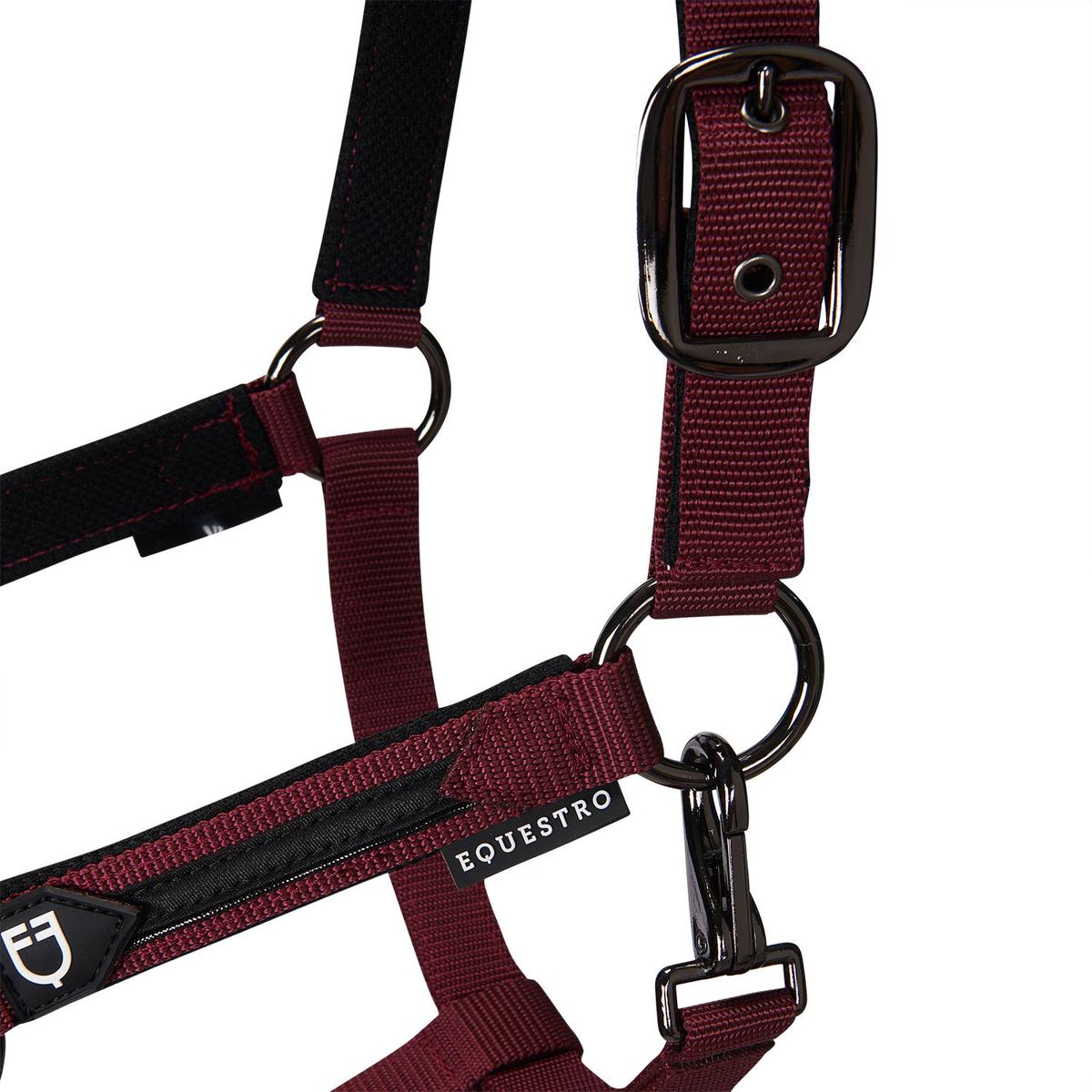 product/e/q/equestro_et08600-burgundy_et08600-burgundy_4.jpg