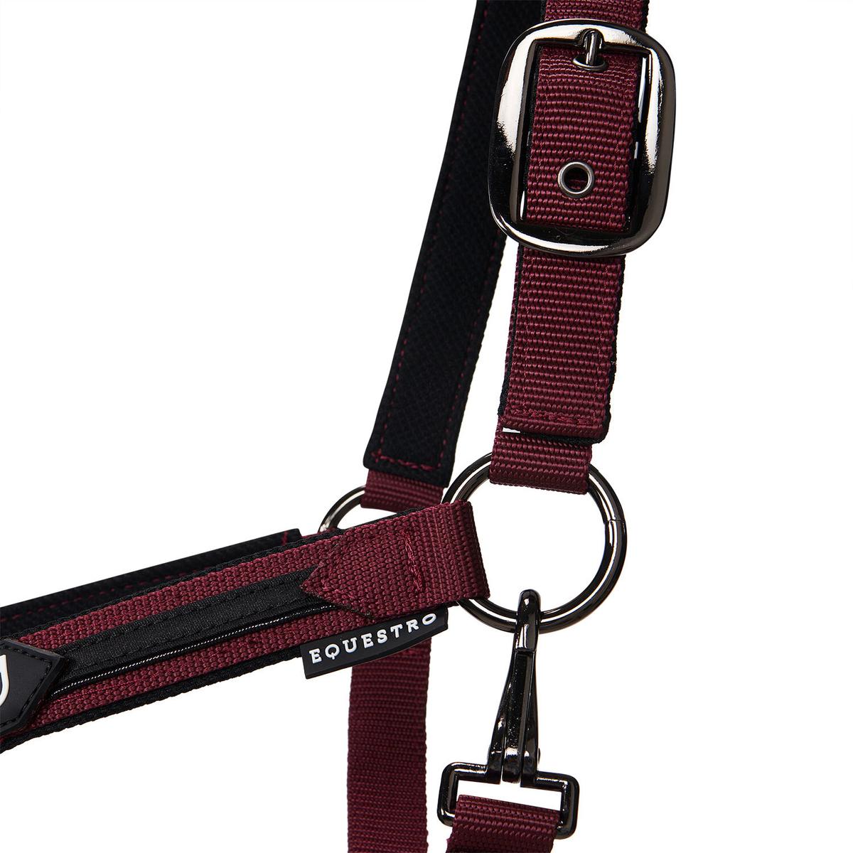 product/e/q/equestro_et08600-burgundy_et08600-burgundy_6.jpg