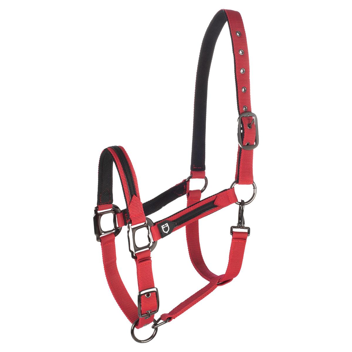 product/e/q/equestro_et08600-red_et08600-red_1.jpg