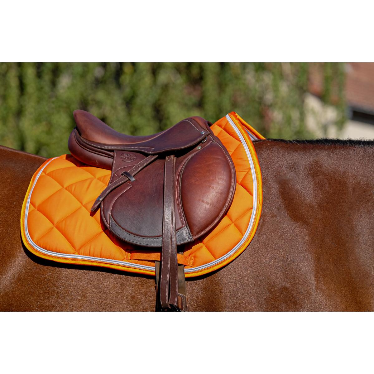 product/e/q/equitheme_204_773_022_ambi2.jpg