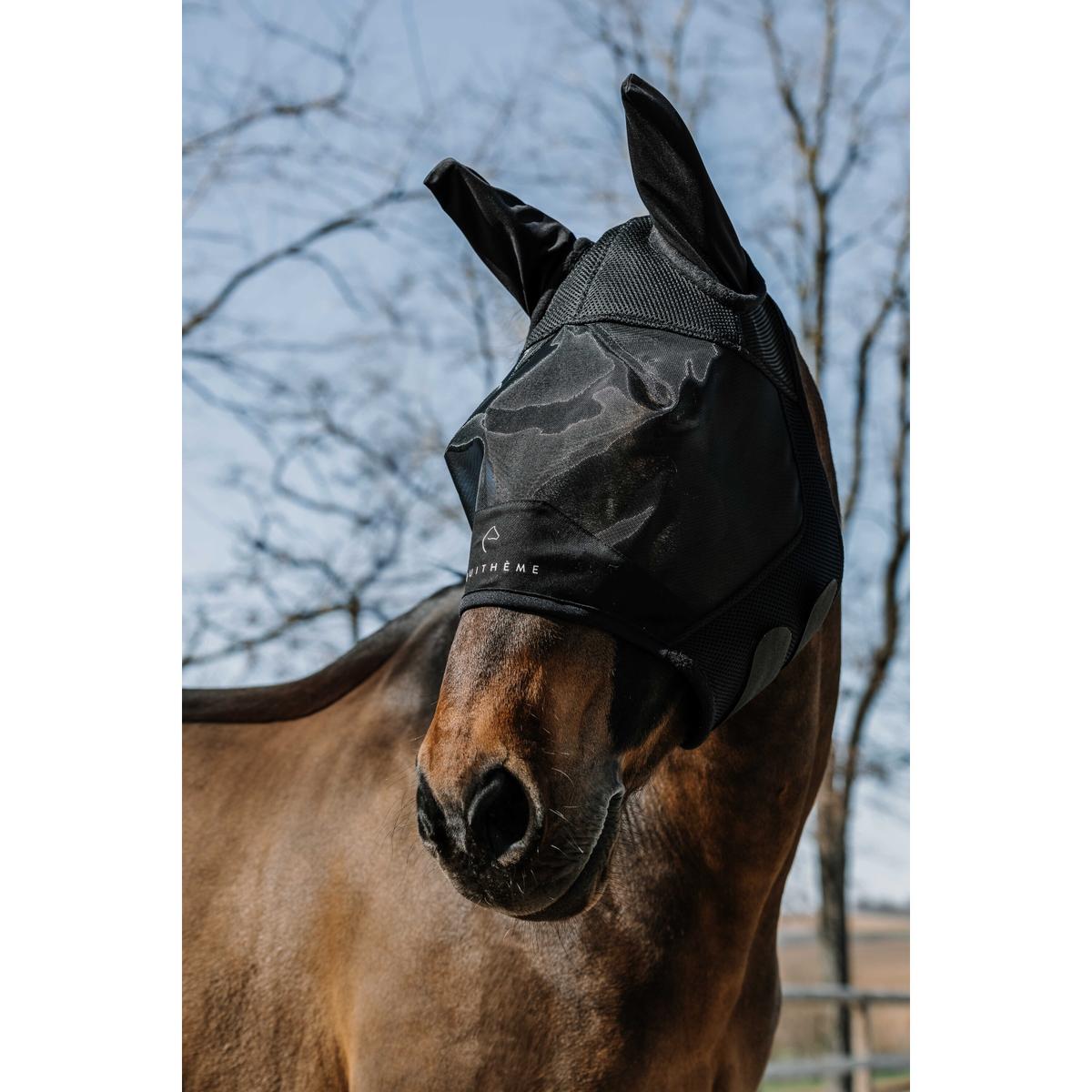 product/e/q/equitheme_306025201_noir_1.jpg