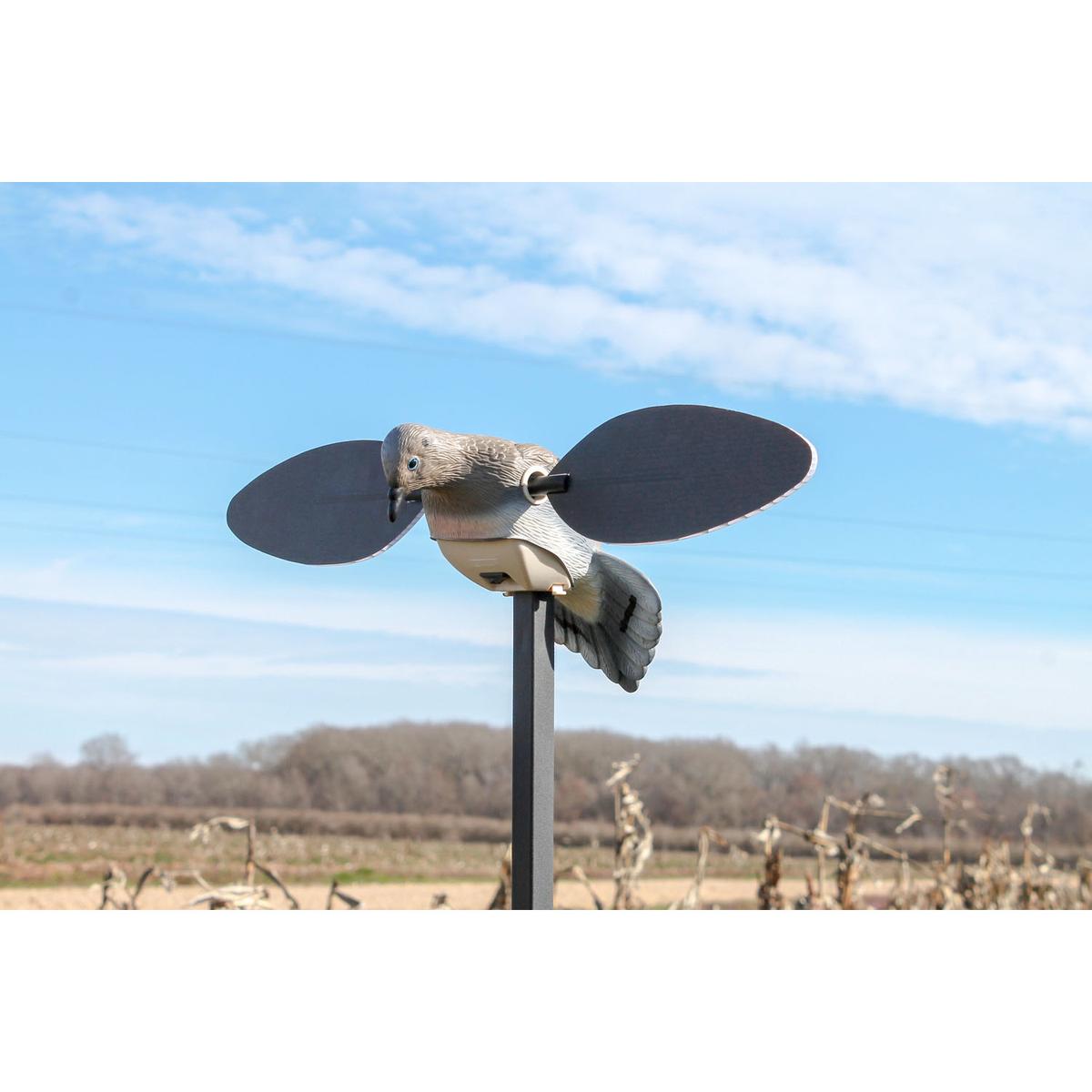 product/e/u/eurohunt_510437_gris_1.jpg
