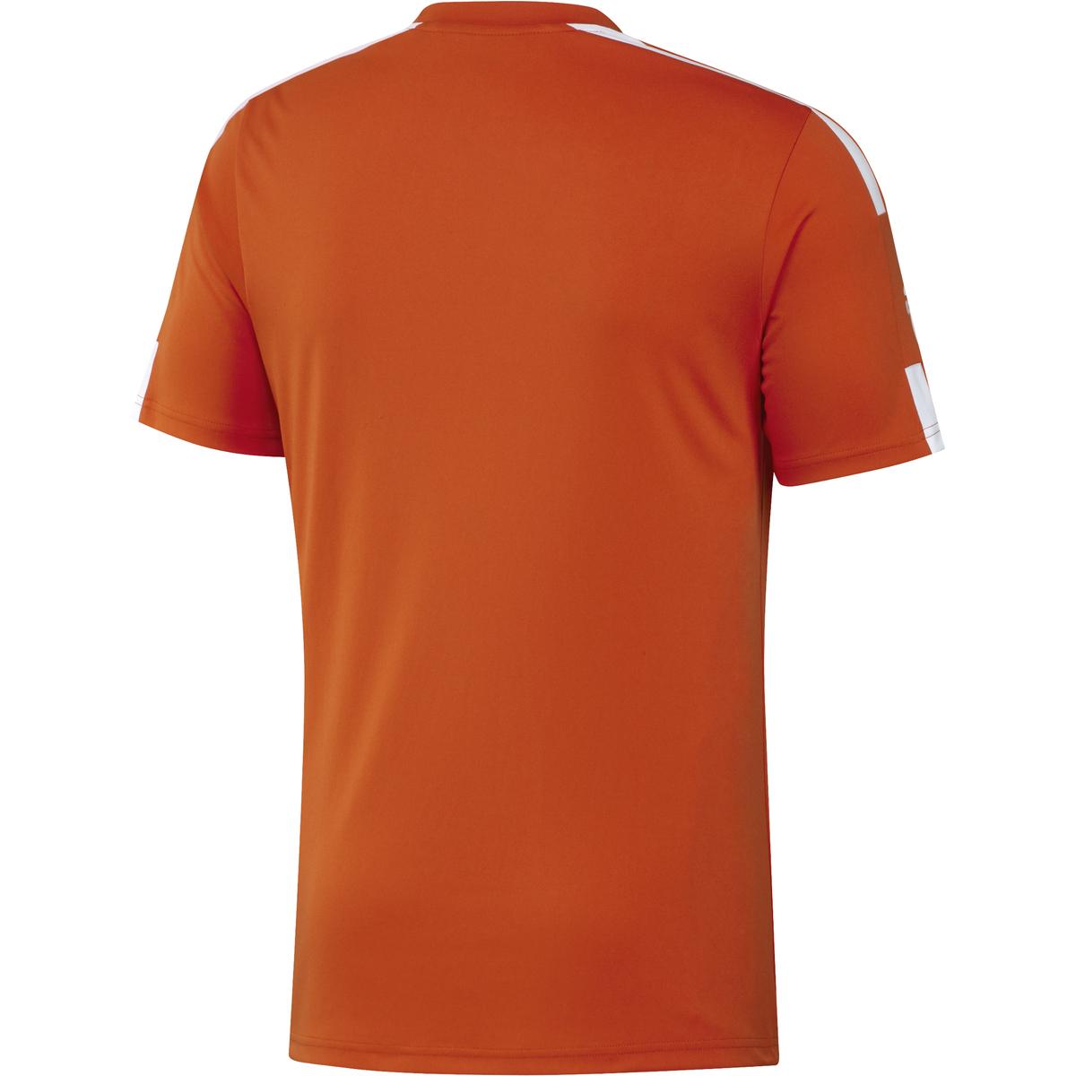 product/g/n/gn8092_app_virtual_back_white.jpg