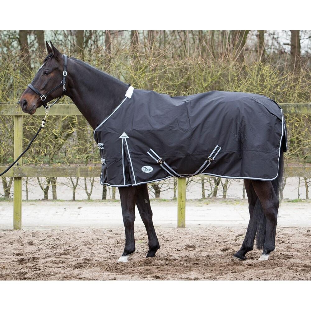product/h/a/harry-s-horse_32200606.jpg