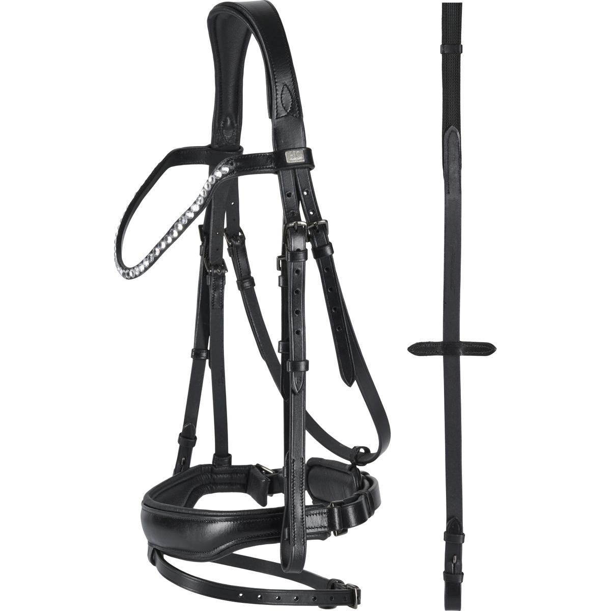 product/h/o/horseguard_503112001_1.jpg