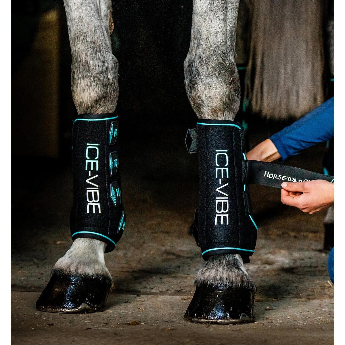 product/h/o/horseware-tahtp1-kda0-fu-black-aqua-3.jpg