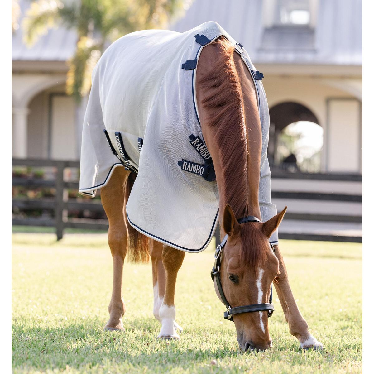 product/h/o/horseware_afanmt-ibwt-66_silver-navy-white-beige_2.jpg