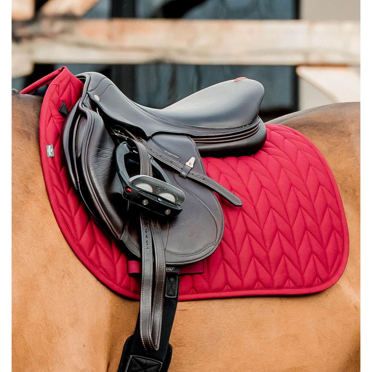 product/h/o/horseware_dprg01-rrr0-ch_mulberry_1.jpg