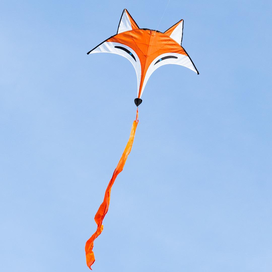 product/h/q/hq-kites_ecofoxk_orange_2.jpg
