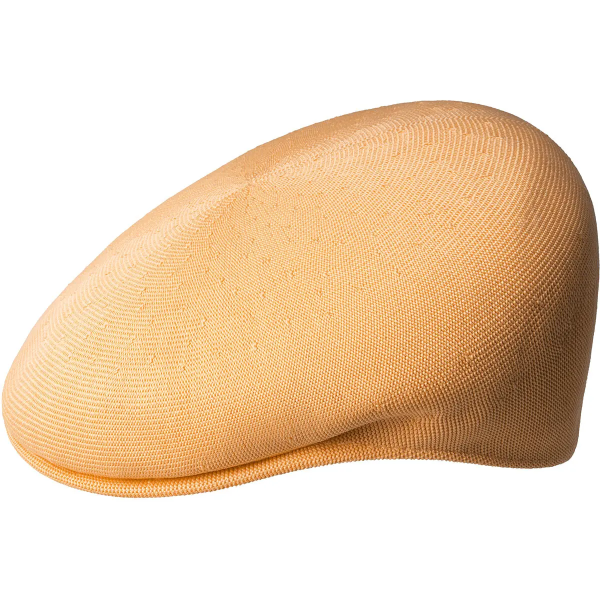 product/k/a/kangol_0287bc-pm803.jpg