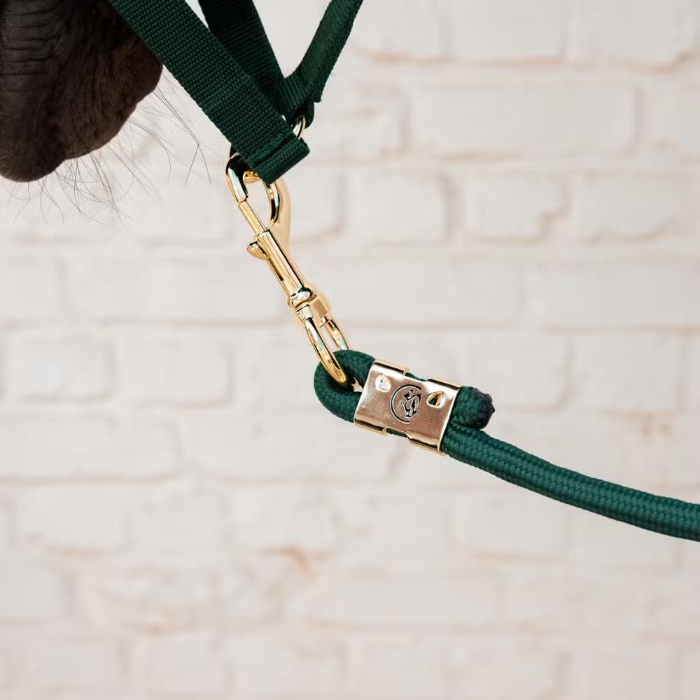 product/k/e/kentucky-horsewear-42535-74-200-pine-green-3.jpg