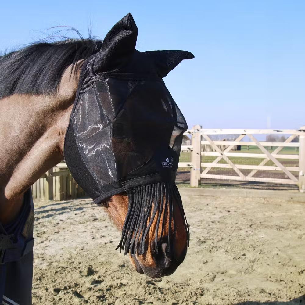 product/k/e/kentucky-horsewear-42671-01-f-black-2.jpg