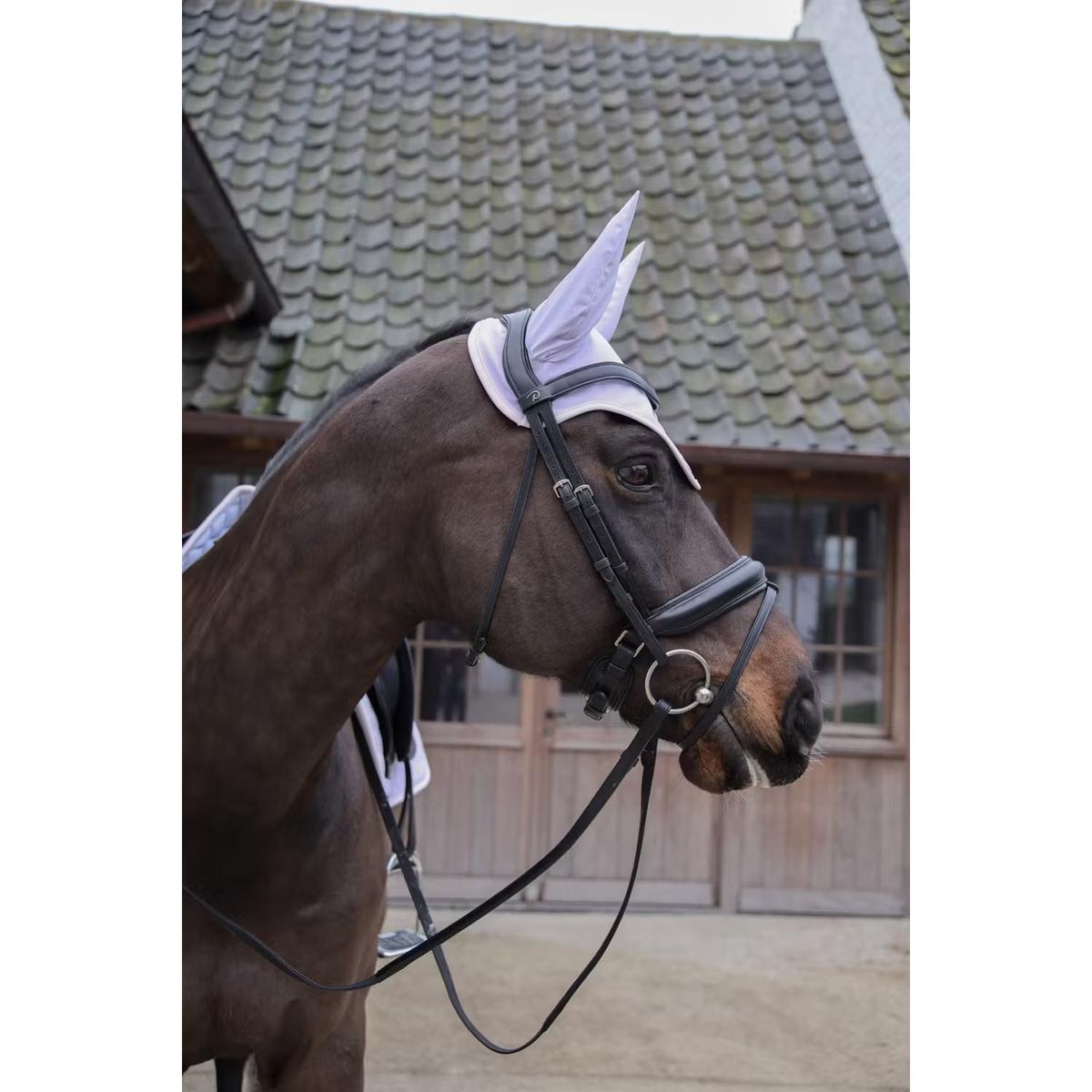 product/k/e/kentucky-horsewear-42681-76-50-f-purple-light-3.jpg