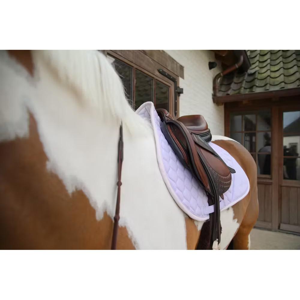 product/k/e/kentucky-horsewear-42737-76-50-sj-purple-light-rose-4.jpg