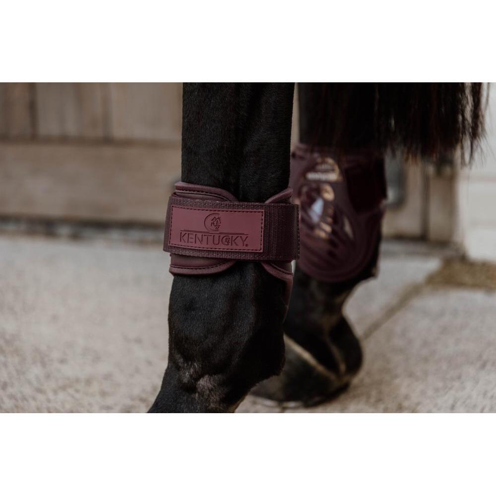product/k/e/kentucky_88201-17-xs_3.jpg