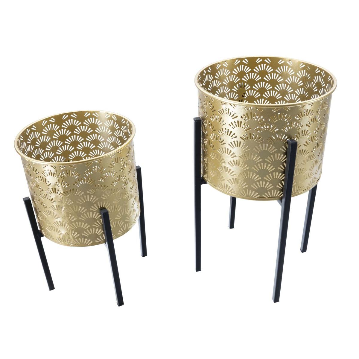 product/m/a/mauro-ferretti_142623000a_gold-black_2.jpg