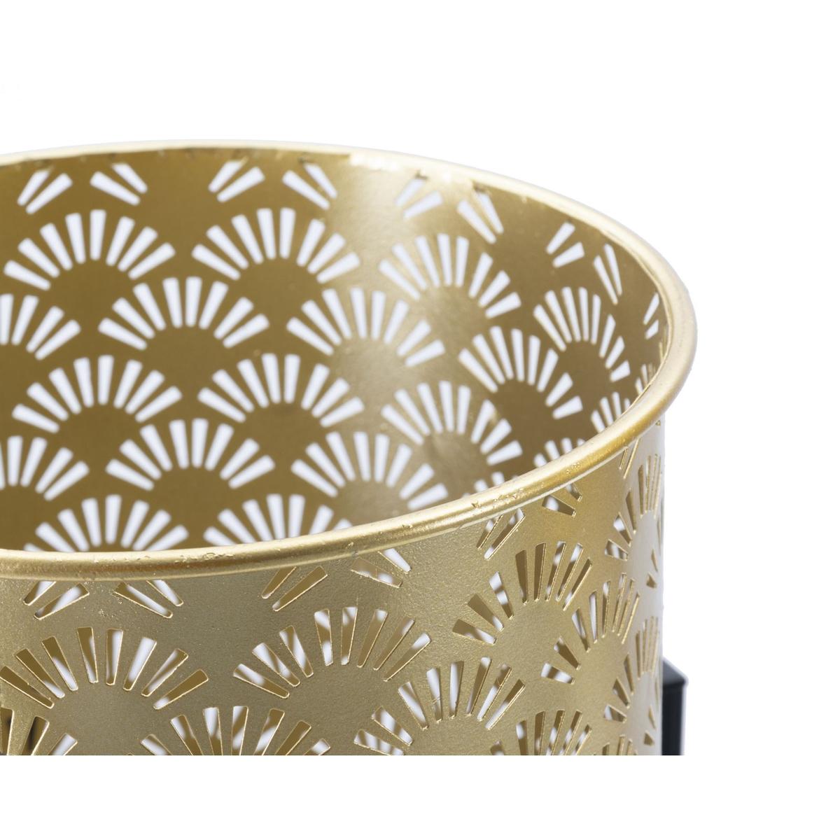 product/m/a/mauro-ferretti_142623000a_gold-black_5.jpg