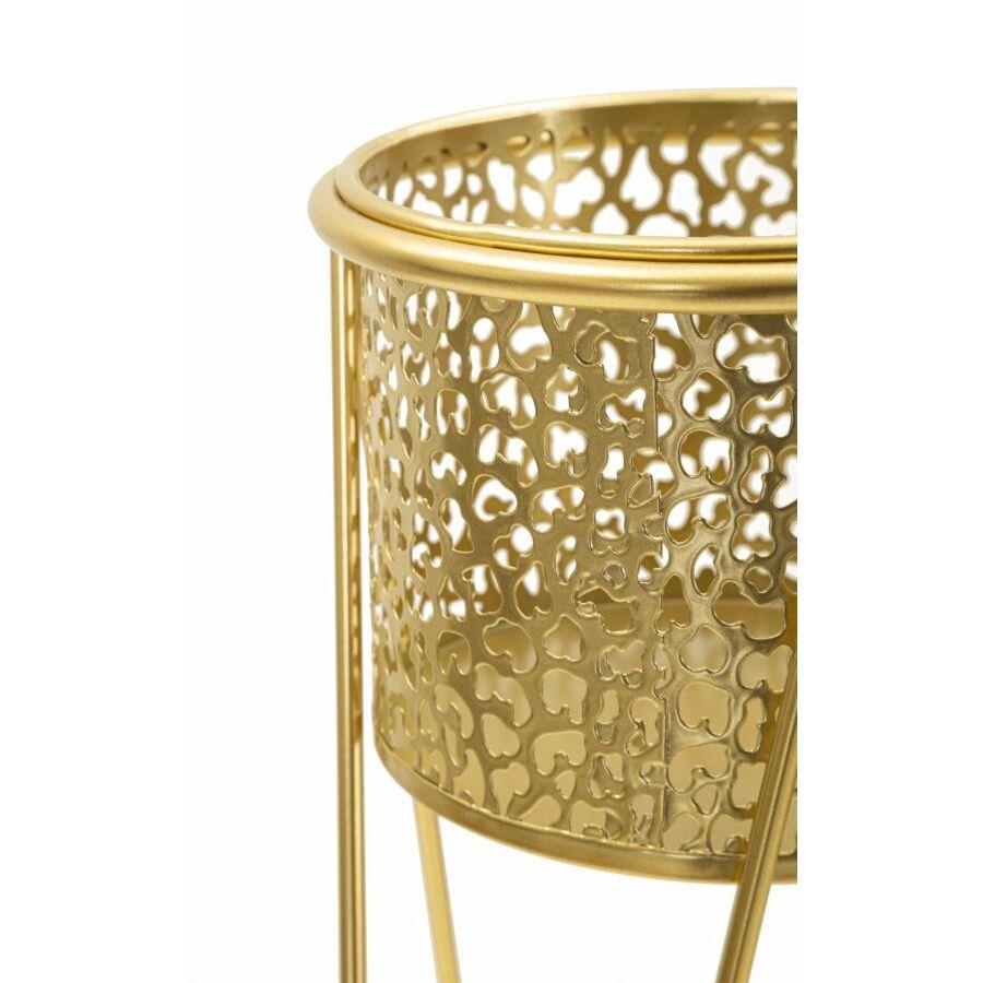 product/m/a/mauro-ferretti_1427850000_gold_3.jpg