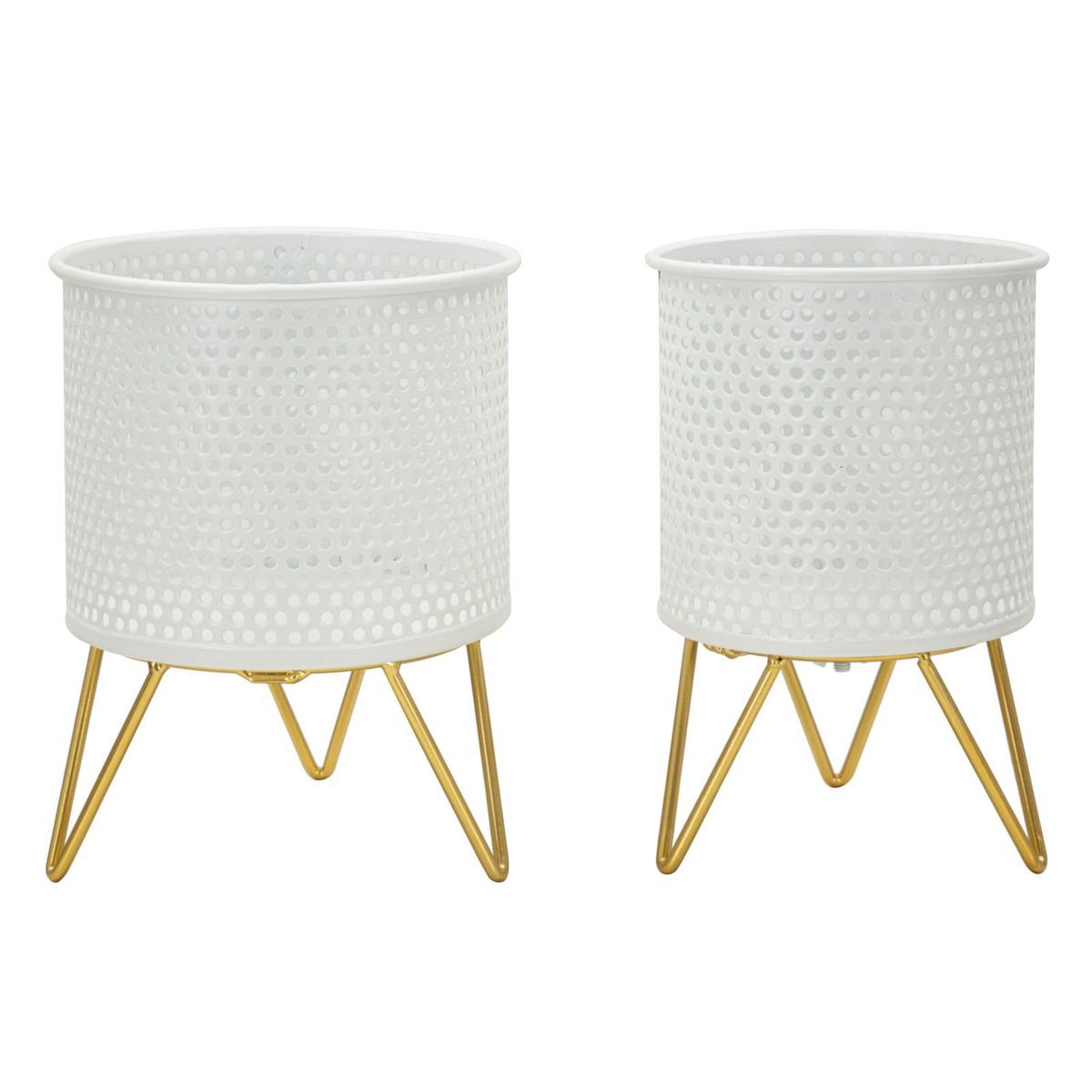 product/m/a/mauro-ferretti_1427920000_gold-white_1.jpg