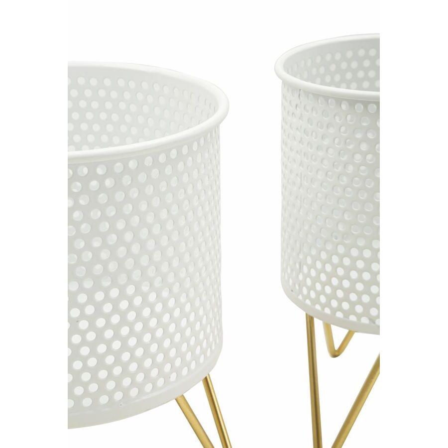 product/m/a/mauro-ferretti_1427920000_gold-white_3.jpg
