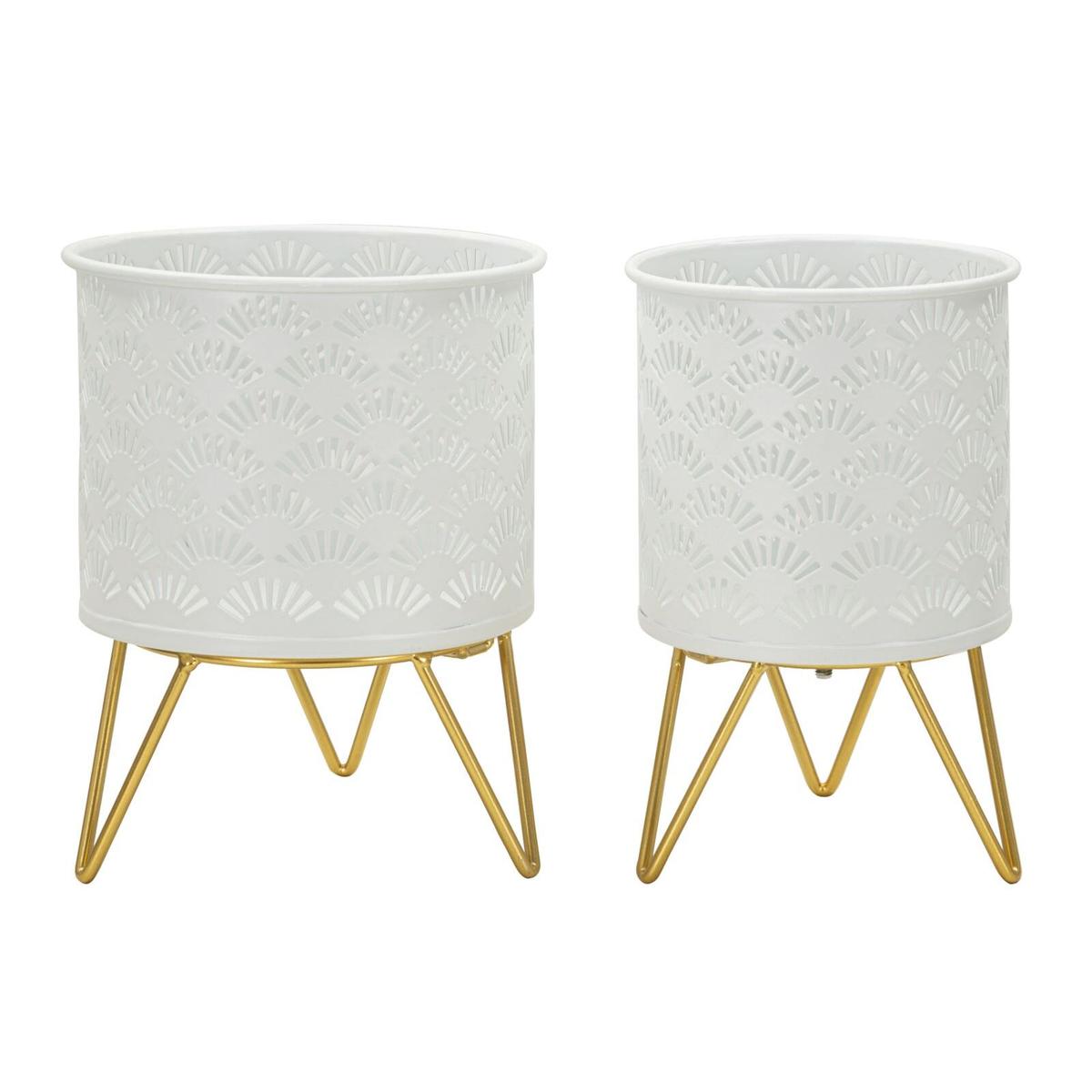 product/m/a/mauro-ferretti_1427930000_gold_1.jpg